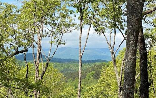 a group of trees with mountains in the background at Mountain Hideaway with Hot Tub & Fire Pit in Mineral Bluff