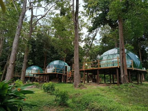 two green domes on wooden platforms in the trees at NATUR - Krabi Campsite Glamping & Camping in Krabi town