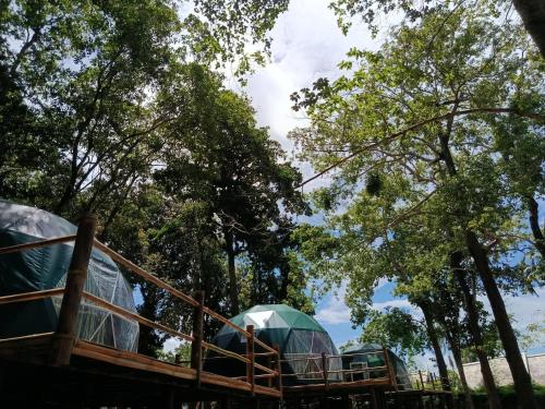 two domes on a deck with trees in the background at NATUR - Krabi Campsite Glamping & Camping in Krabi town