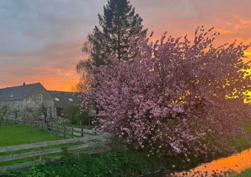 a tree with pink flowers in front of a fence at Bed & Brood De Vogelpoel in Wijk bij Duurstede