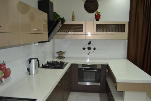 Virtuvė arba virtuvėlė apgyvendinimo įstaigoje Tskaltubo Apartment Mirian Mepe