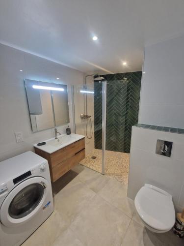 a bathroom with a washing machine and a sink at appartement vezzani in Vezzani