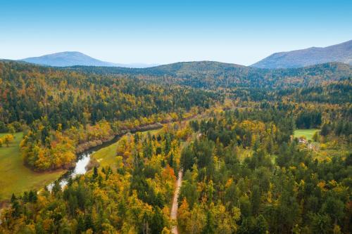 an aerial view of a river in a forest at Oblak Estate in Rigelj pri Ortneku