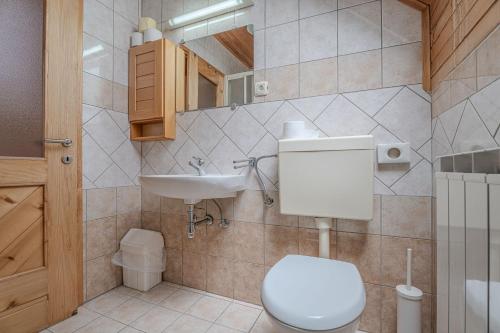 a bathroom with a toilet and a sink at Oblak Estate in Rigelj pri Ortneku