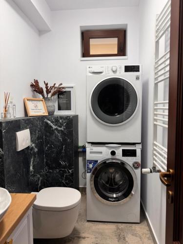 a bathroom with a washing machine and a toilet at Mosia Vasiloaica in Pleaşa