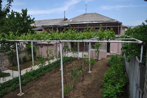 a garden with a pergola in front of a building at Nukri Guest House in Gori