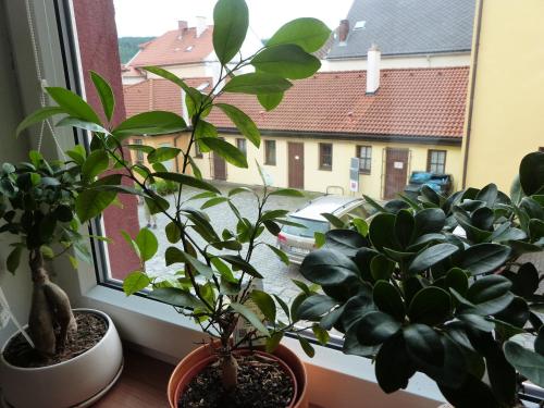 Fotografia z galérie ubytovania Apartmán Susice v destinácii Sušice