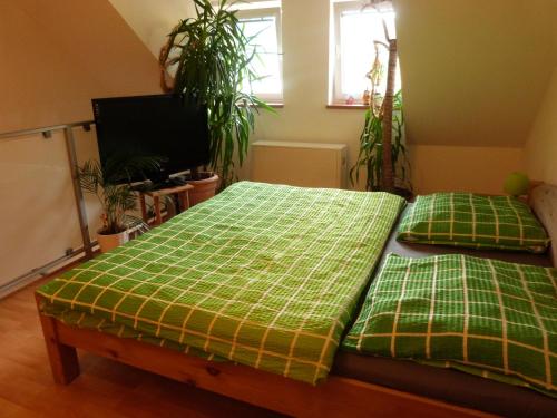 um quarto com 2 camas e lençóis de xadrez verde em Apartmán Susice em Sušice