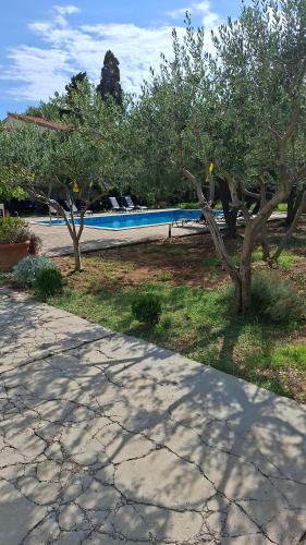 Apartmani Vidaska