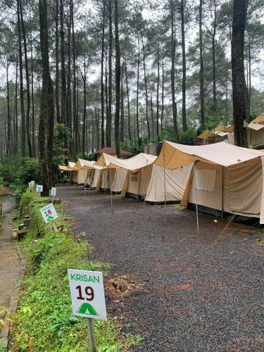 a row of tents in a forest with a sign at Be Glamping Lembang in Lembang
