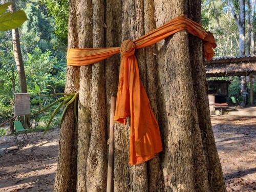 Fotografie z fotogalerie ubytování Harmony at Huailan Home Ecolodge v destinaci Ban Mae Pha Haen
