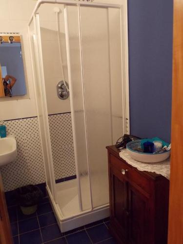 a bathroom with a shower and a sink at B&B Pacilita in Pianopoli