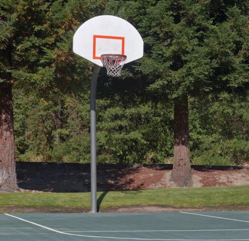 a basketball hoop on a court with two trees at WorldMark Bass Lake in Bass Lake
