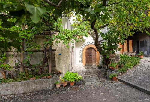 a building with a courtyard with potted plants and a door at Cricerhaus in Visp