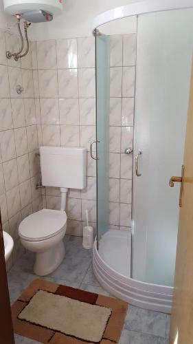 uma casa de banho com um WC e uma cabina de duche em vidro. em Sobe Braica em Drniš