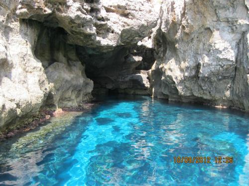 Gallery image of B&B La Pergola in Marettimo