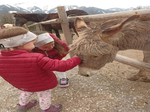 two little girls petting a donkey by a fence at Apartment in Stans near Wolfsklamm River in Stans