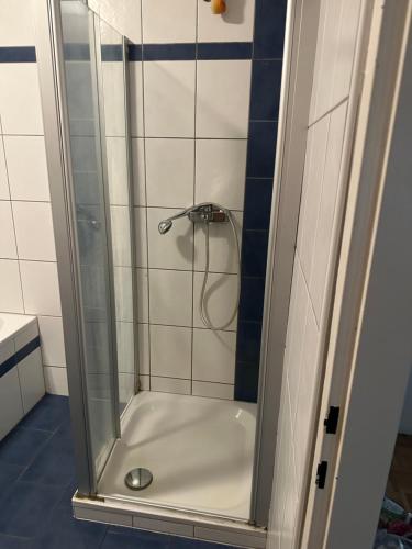 a shower with a glass door in a bathroom at WG Riedau in Riedau