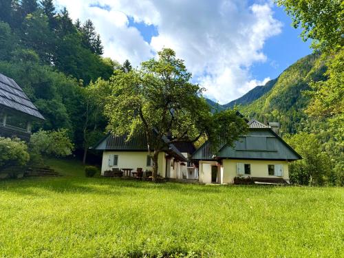 a house with a tree in the middle of a field at Soča Village in Soča