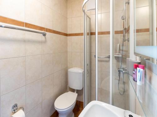 a bathroom with a shower and a toilet and a sink at Gailtaler apartment at an excursion location in Kötschach