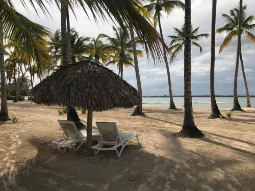 two chairs and an umbrella on a beach with palm trees at Residencial la ensenada, on Playa Nueva Romana in Boca del Soco