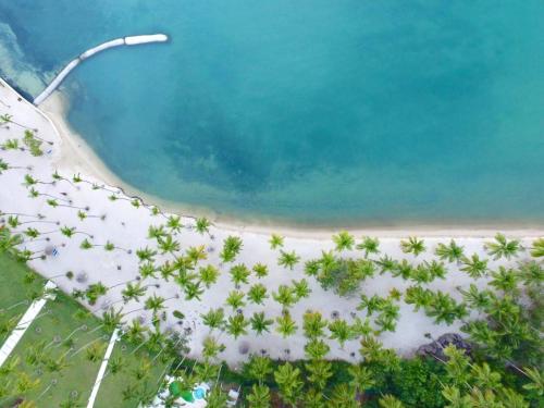 an aerial view of a beach with palm trees at Residencial la ensenada, on Playa Nueva Romana in Boca del Soco