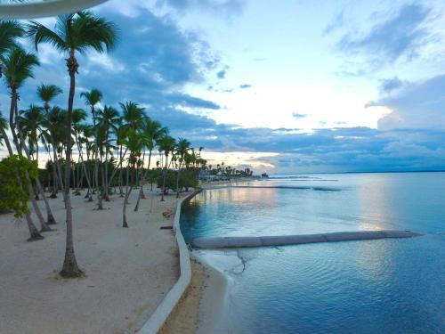 a beach with palm trees and a body of water at Residencial la ensenada, on Playa Nueva Romana in Boca del Soco