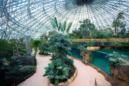a greenhouse with a swimming pool and many plants at Les Rivages de Beauval in Saint-Aignan