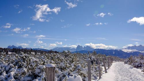 a vineyard covered in snow with mountains in the background at Cityhotel Goldener Adler B&B in Chiusa