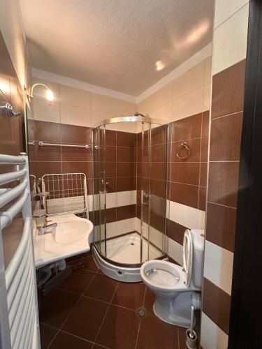 Un baño con ducha, inodoro y lavabo. en Private large apartment in Iglika 2 for 4 people, en Borovets