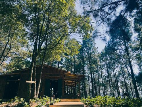 a wooden cabin in the middle of a forest at Trúc Linh Homestay in Làng Môn