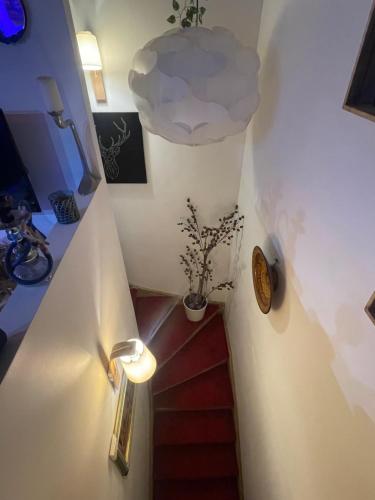 Beau appartement calme à partager
