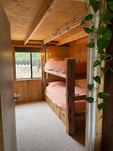 a bedroom with two bunk beds in a cabin at Stokes Bay Surf Shack in Stokes Bay