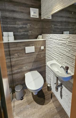 a bathroom with a toilet and a sink at Ferienwohnung Hüttenbauer in Dorf
