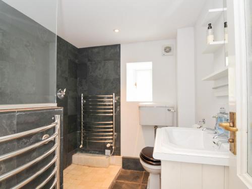 a bathroom with a toilet and a sink at Orchard Cottage in Saint Endellion