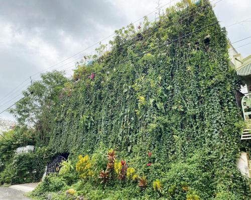 a large green wall with flowers and plants at Eden Garden Homestay in Mysore