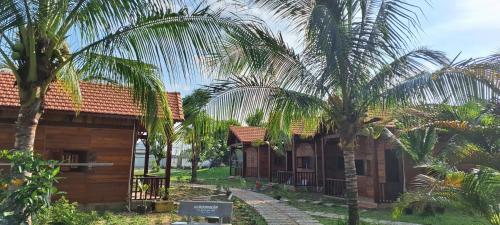 Taman di luar Homestay 25 tháng 12 Tàpao - Đồng Kho - Tánh Linh