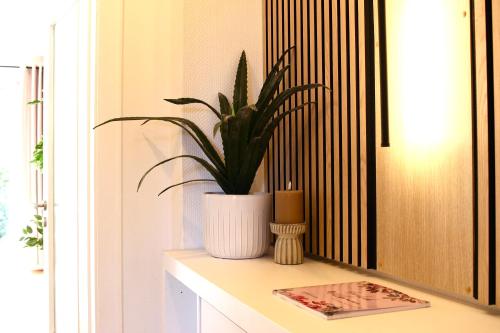 a plant in a white vase sitting on a shelf at charmantes Apartment bei Hamburg - Ruhe, Komfort & kostenloses Parken in Rellingen