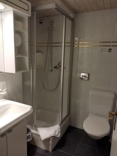 a bathroom with a shower and a toilet and a sink at Castle A17 in Blitzingen