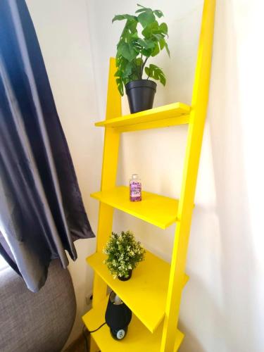 a yellow shelf with plants and a plant at Le calme à deux pas de tout in Elbeuf