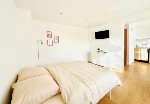 a white bedroom with a bed and a tv at Dreamz in Calais