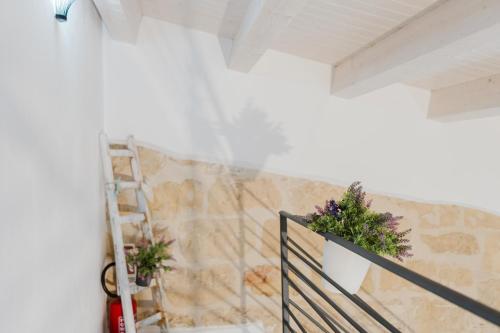 a white wall with two plants on a ladder at Casa del Golfo in Castellammare del Golfo