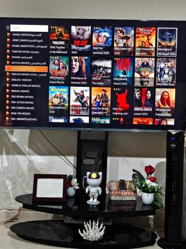 TV a/nebo společenská místnost v ubytování Fully furnished studio apartment