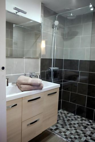 a bathroom with a sink and a shower at Maison De Denise in Civray-de-Touraine