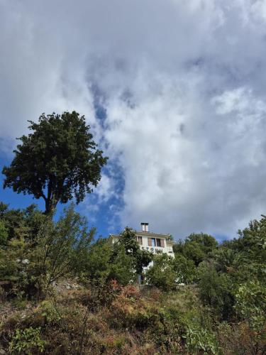 a house on top of a hill with a tree at RASTONI Pelion in Vizitsa