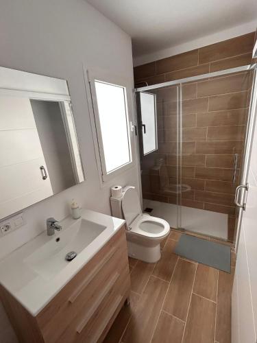 une salle de bain avec toilettes, lavabo et douche dans l'établissement Padre Anchieta 35 - 8, à Santa Cruz de Tenerife