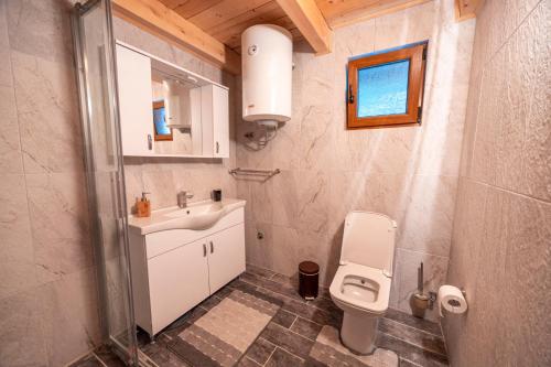 a small bathroom with a sink and a toilet at Seosko domacinstvo Jahova voda - Muratovići in Petnjica