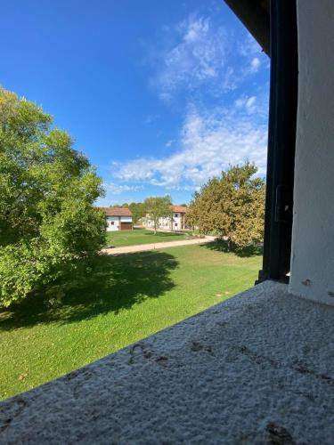a view from the porch of a house with a yard at Agriturismo La Bisa in Trecenta