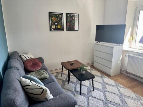 Televiisor ja/või meelelahutuskeskus majutusasutuses Ferienhaus "Anita" in Eisleben mit 3 Schlafzimmern