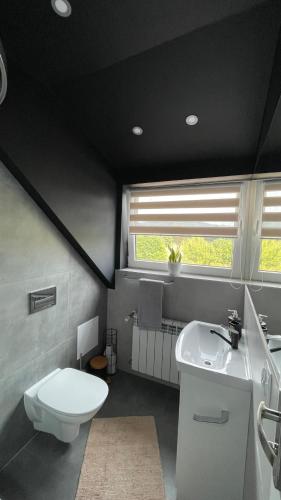 a bathroom with a white toilet and a sink at Apartamenty Leśna Osiem in Jeżów Sudecki
